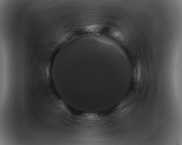 X0000087020424200704161604