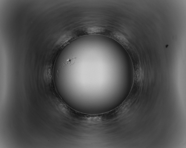 X0000087020426200704161604