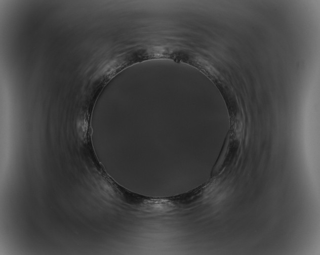 X0000087020427200704161604