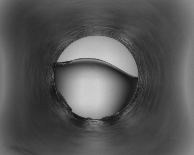 X0000087020429200704161604