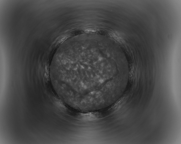 X0000087020430200704161604