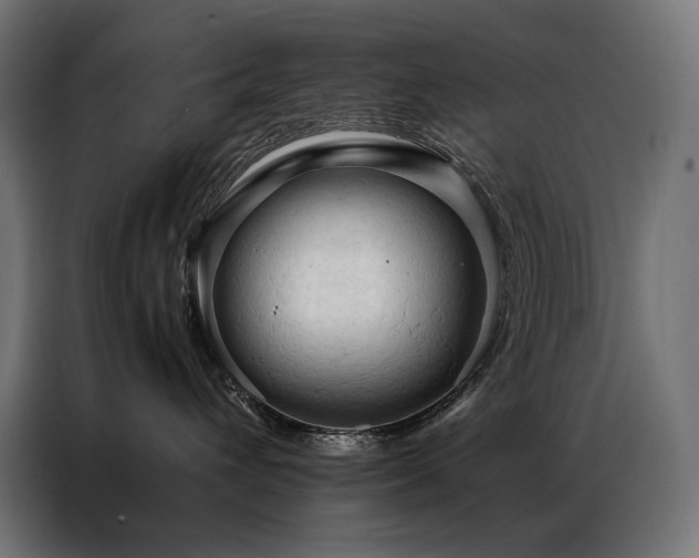 X0000087020432200704161604