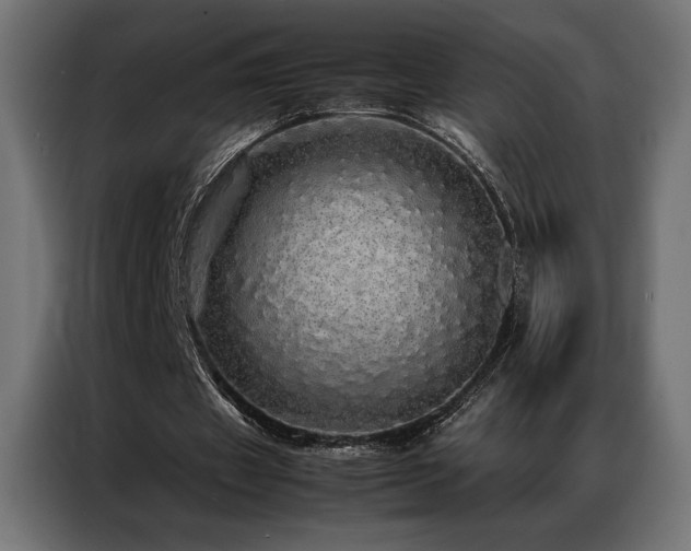 X0000087020433200704161604