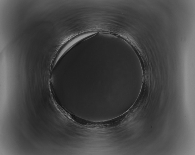 X0000087020434200704161604