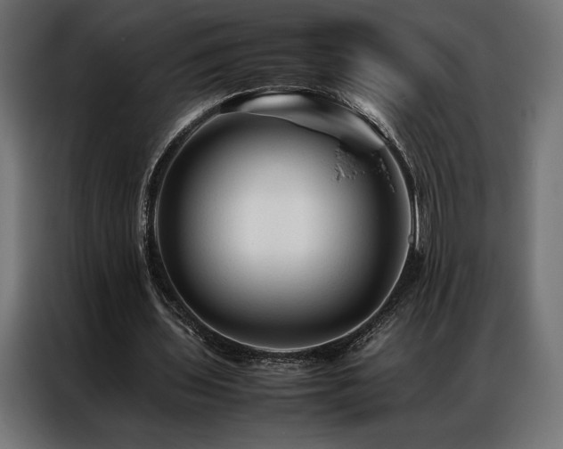 X0000087020435200704161604