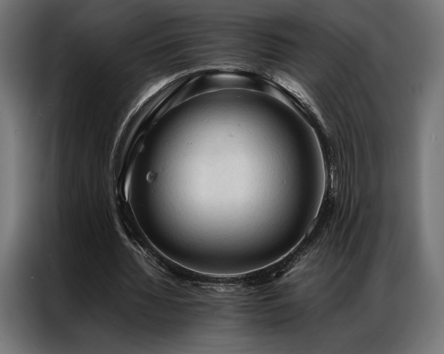 X0000087020436200704161604