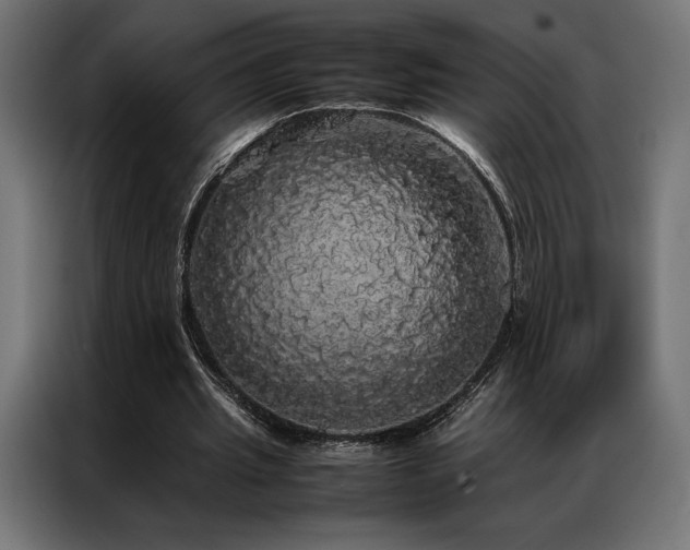 X0000087020437200704161604