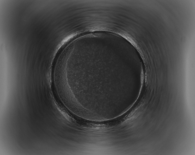 X0000087020438200704161604