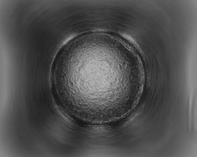 X0000087020439200704161604