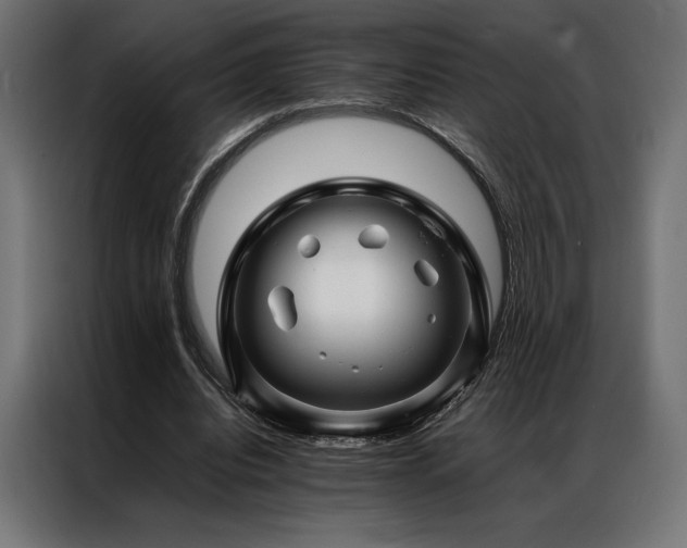 X0000087020440200704161604