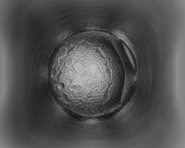 X0000087020441200704161604