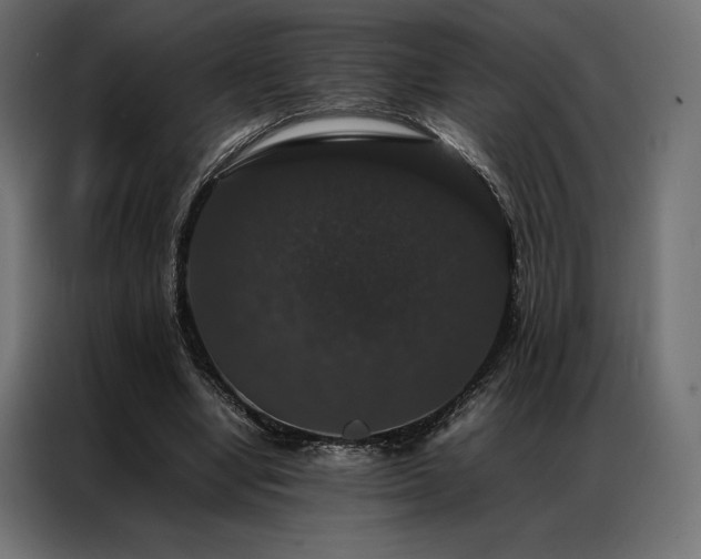 X0000087020442200704161604
