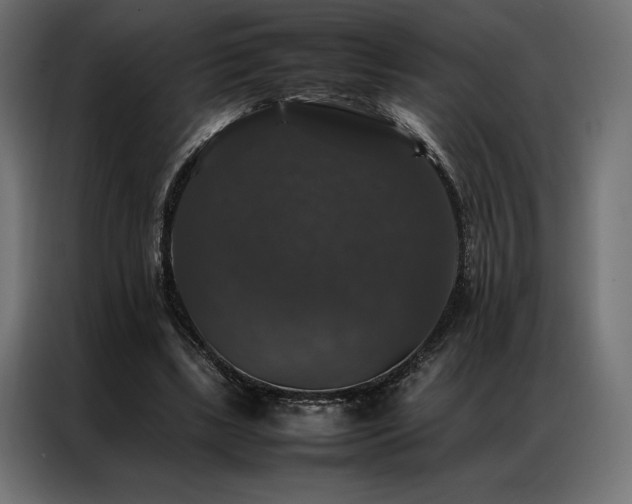 X0000087020443200704161604