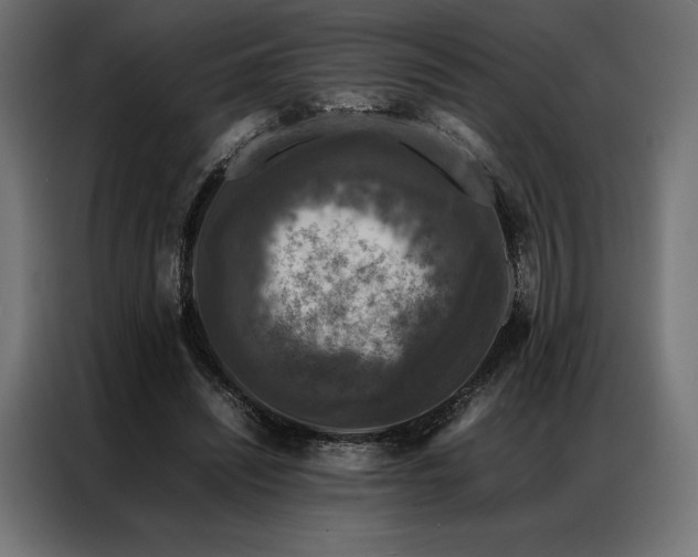 X0000087020444200704161604