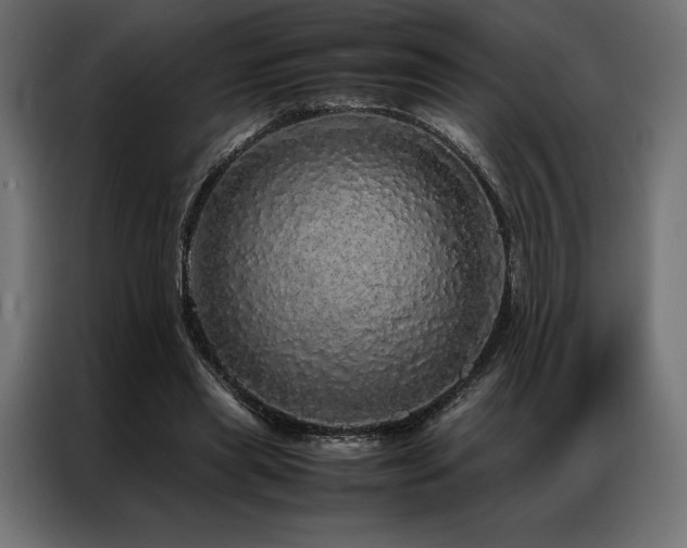 X0000087020445200704161604
