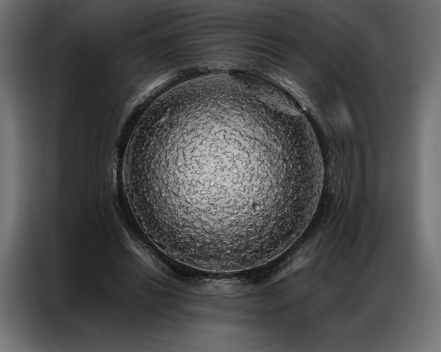 X0000087020446200704161604