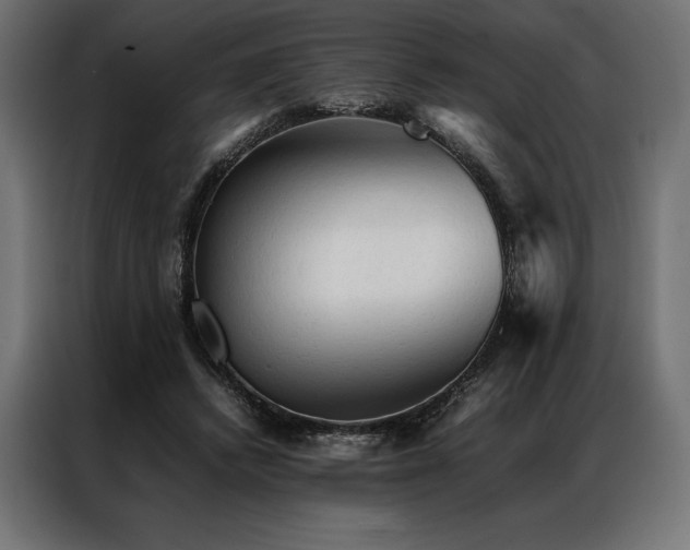 X0000087020448200704161604