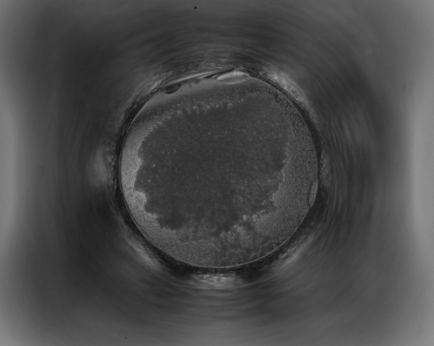 X0000087020449200704161604