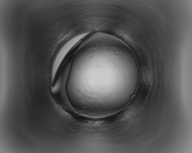 X0000087020450200704161604