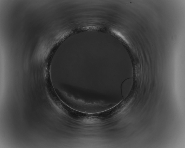 X0000087020451200704161604