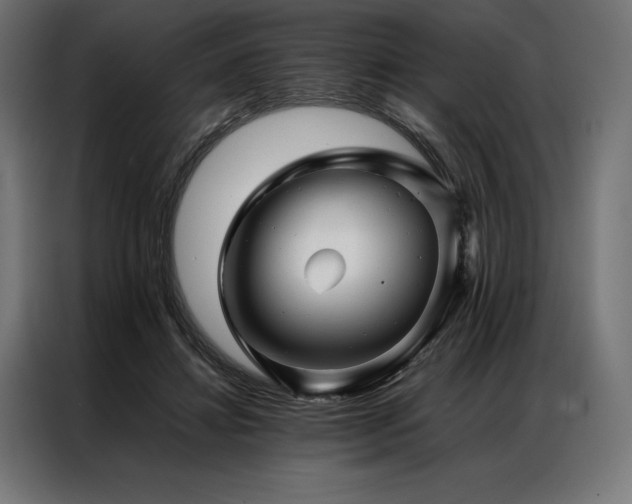 X0000087020452200704161604