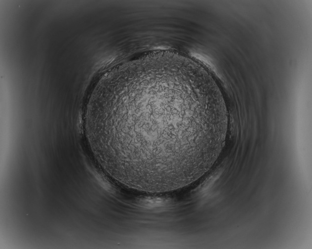X0000087020453200704161604