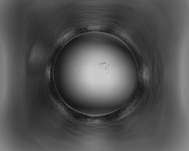 X0000087020454200704161604