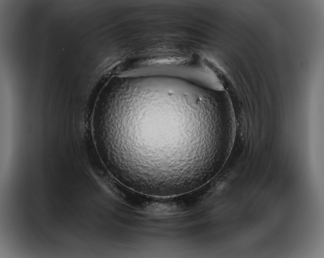 X0000087020455200704161604
