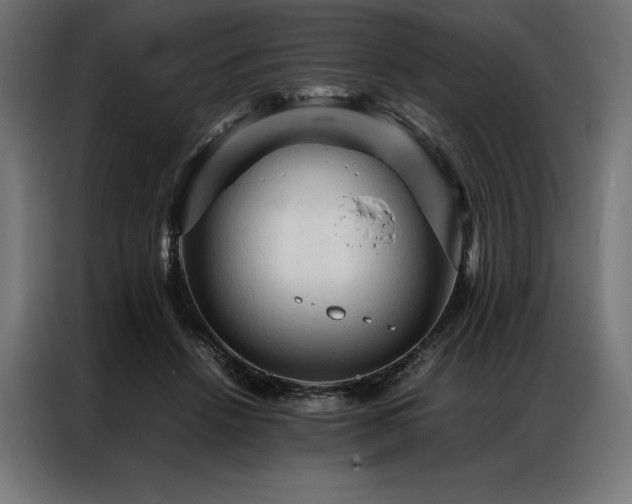 X0000087020456200704161604