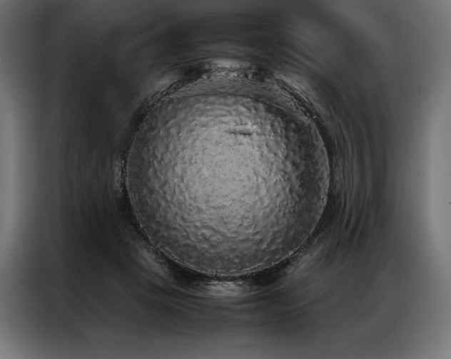 X0000087020457200704161604