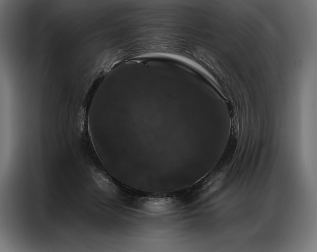X0000087020458200704161604