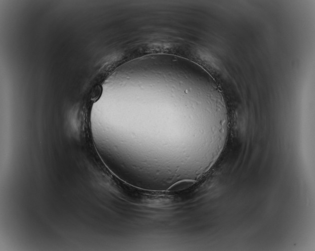 X0000087020463200704161604