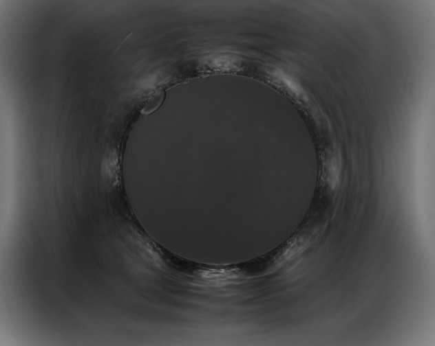 X0000087020465200704161604