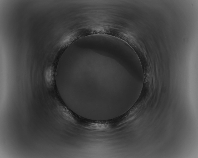 X0000087020466200704161604