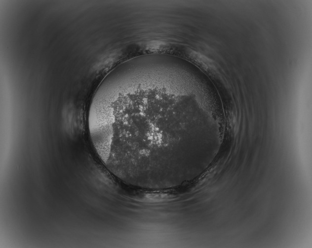 X0000087020470200704161604