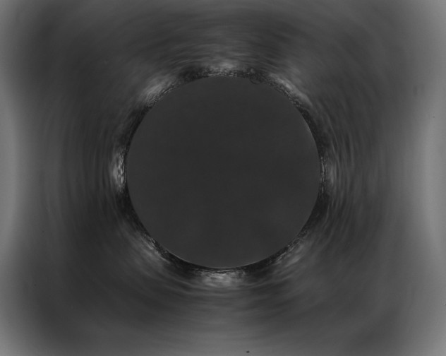X0000087020479200704161604