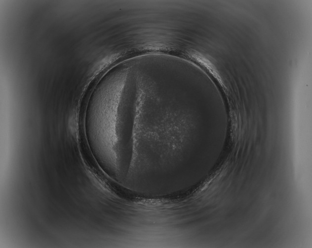X0000087020482200704161604
