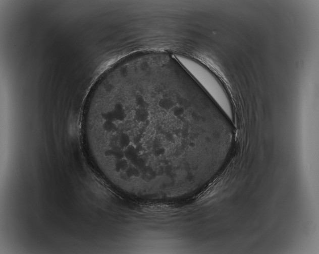 X0000087020483200704161604
