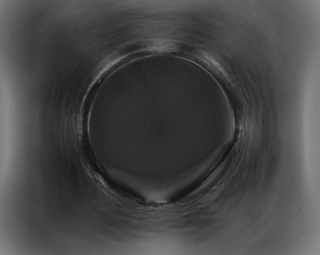 X0000087020484200704161604
