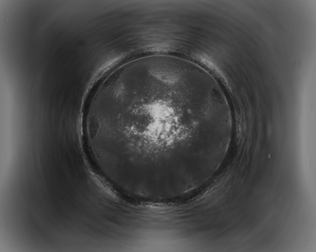 X0000087020486200704161604