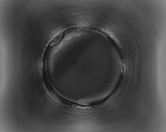 X0000087020488200704161604
