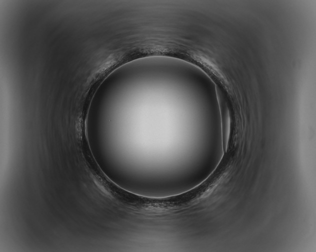 X0000087020489200704161604