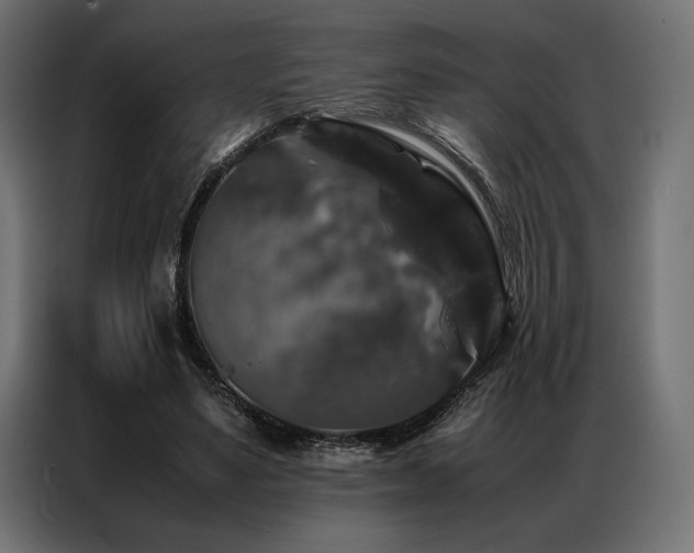 X0000087020491200704161604