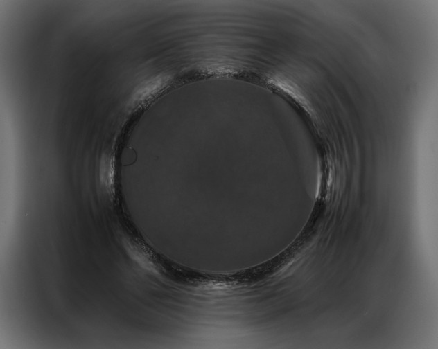 X0000087020494200704161604