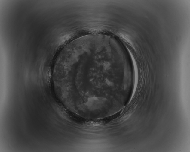 X0000087020495200704161604
