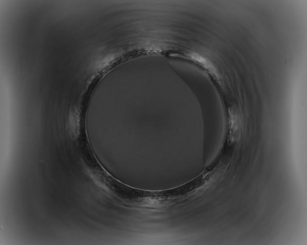 X0000087020496200704161603