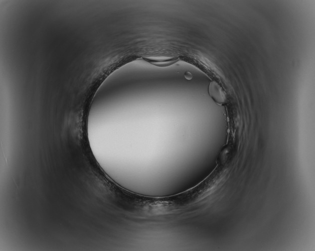 X0000087020497200704161603