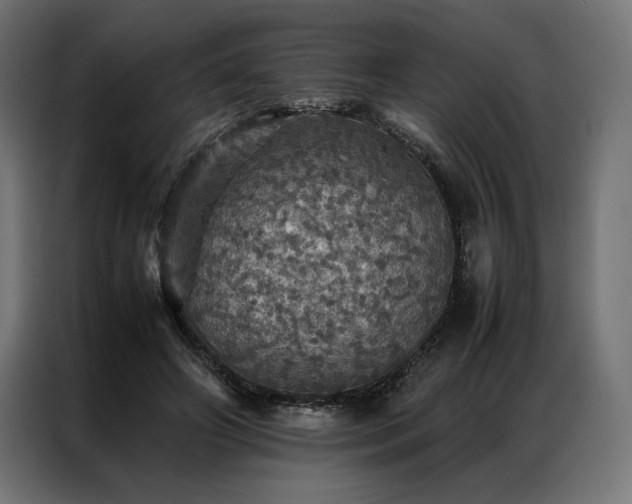 X0000087020498200704161603
