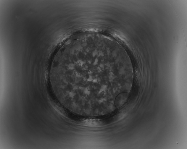 X0000087020499200704161603