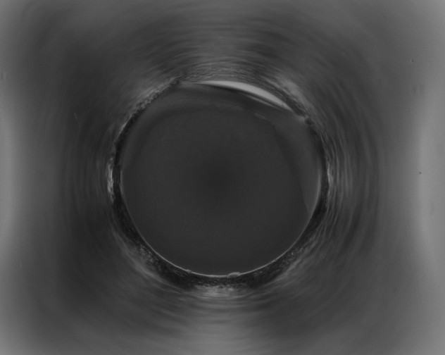 X0000087020500200704161603